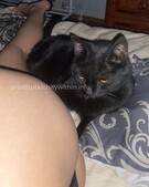 Анкета проститутки Мелисса - метро Ясенево, возраст - 23